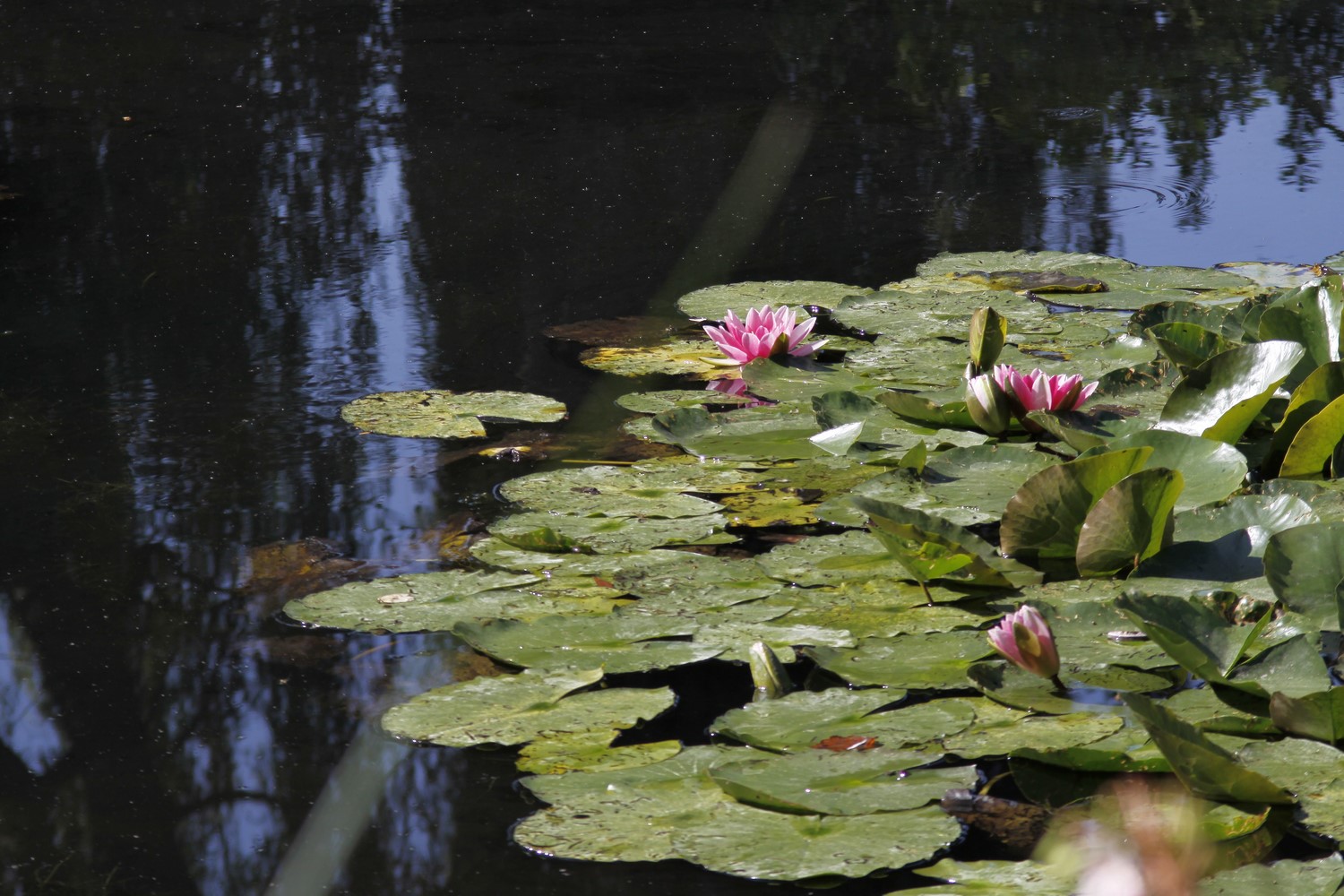 Détours (2)