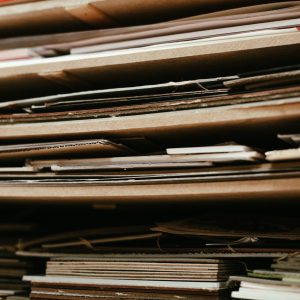 Fanny à la CoFabrik